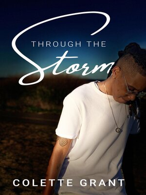 cover image of Through the Storm